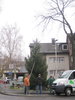Weihnachtsbaum-2012-006