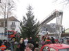Weihnachtsbaum-2012-015