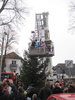 Weihnachtsbaum-2012-024