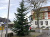 Weihnachtsbaum-2019-006
